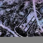 Swampborn - Beyond Ratio