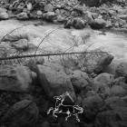 Headless Horseman - HDL013