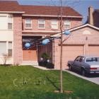 Chastity-Chastity-24BIT-48KHZ-WEB-FLAC-2024-FLACCiD