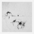 Rie Nakajima & David Toop - Is Spring A Sculpture