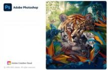 Adobe Photoshop 2024 v25.7.0.504 (x64)