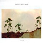 Morgan Noise - Something built, Something remembered