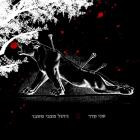 Shany Kedar - Nihul Matzavey Mashber