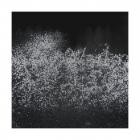 More Influenza - Drama