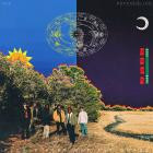 The Psycodelics - Please Keep Off The Grass