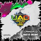 Samba D - Wasted Dreams