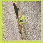 Booker Stardrum - Close-up On The Outside