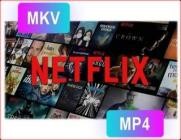 Pazu Netflix Video Downloader v1.7.2