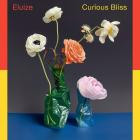 Eluize-Curious Bliss- FV019 -24BIT-WEB-FLAC-2024-BABAS