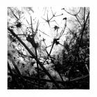 Joachim Spieth-Irradiance- AFFINLP01LTD -16BIT-WEB-FLAC-2017-AGITB