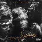 Dee Mula - - Suffering From Success  