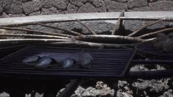 Im.Schatten.der.Vulkane.E05.Lanzarote.-.Wie.Asche.zu.Geld.wird.German.DOKU.WEBRiP.X264-GWD