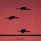 Le Code - The End Is The Beginning