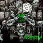 Decerebrate - Decerebrate