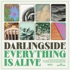 Darlingside - Everything Is Alive