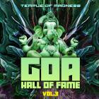 VA - Goa Hall Of Fame Vol  3 Temple Of Madness