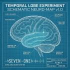 YNX 716 - Temporal Lobe Experiment