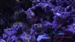 ATKGirlfriends.25.05.31.Nicole.Nichols.Norcal.5.XXX.1080p.MP4-WRB