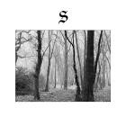 Slow White Fall - O Curse Upon Thou House LP
