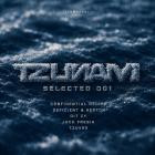Various Artists - Tzunami Selected 001