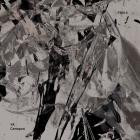 VA - Canopus