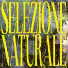 Selezione Naturale-Nova Mundi- GODREC0031 -16BIT-WEB-FLAC-2022-BABAS