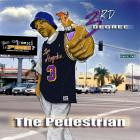 3rd Degree-The Pedestrian-16BIT-WEB-FLAC-2004-LSM
