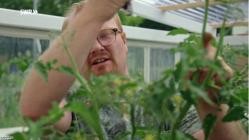 Mein.leckerer.Garten.S01E02.Der.Bauerngartenprofi.GERMAN.DOKU.WEBRip.x264-TVKNOW