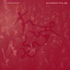 VA - Shared Pulse