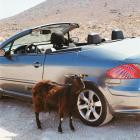 Exek - Prove The Mountains Move