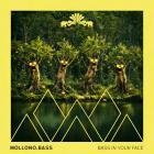 Mollono Bass - Bass In Your Face  