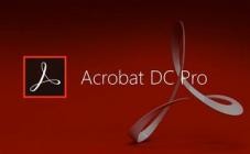 Adobe Acrobat Pro DC 2024.001.20643 (x64)