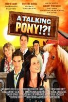 Das Geheimnis des Ponys