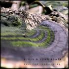 R D V x John Plaza-Vueltas Paralelas- LL018 -16BIT-WEB-FLAC-2025-BABAS