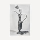 White Flowers - Dreams For Somebody Else