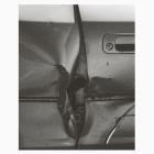 Push For Night-That Porous Line- RM4272 -24BIT-WEB-FLAC-2026-BABAS