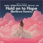 Andre Wildenhues feat  Stacey Jay - Hold on to Hope (Betibwe Remix)