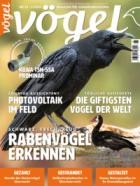 Voegel - Magazin fuer Vogelbeobachtung 81/2024