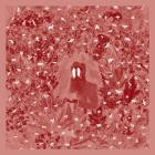 Iron & Wine - Hen's Teeth (Deluxe Edition)