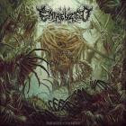Enfrenzied - Parasite Chamber