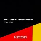 VA - Strawberry Fields Forever