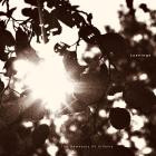 Lysnings - The Remnants Of Silence