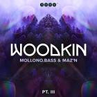 WOODKIN aka Mollono Bass & MAZ'N - WOODKIN - Part 3  