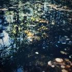 zake x Lucy Gooch x Black Brunswicker-Wash Away- ZDEP001 -24BIT-WEB-FLAC-2025-BABAS