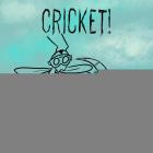 Cricket! - Everything Matters