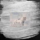 Horses - Every Dumb Thing I Ever Did