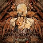 Infected Disarray - Disseminating Obscenity (2026 Redux)