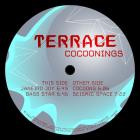 Terrace-Cocoonings- DSREEVO008 -24BIT-WEB-FLAC-2022-BABAS