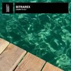 Bitrarex - Learn To Fly