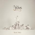 Black Spikes - Ydos